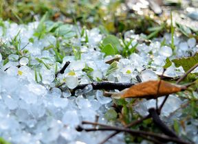 hail-lying-on-the-ground