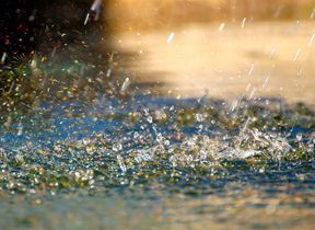 heavy-rainfall-adobe-stock
