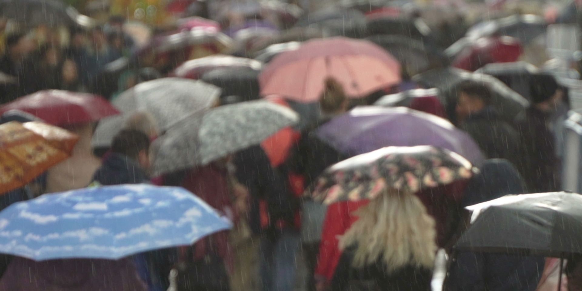 heavy-rainfall-and-umbrellas