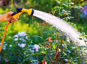 hosepipe