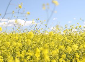 inline_images_0000s_0002s_0005_jeremy-bishop-235014-unsplash