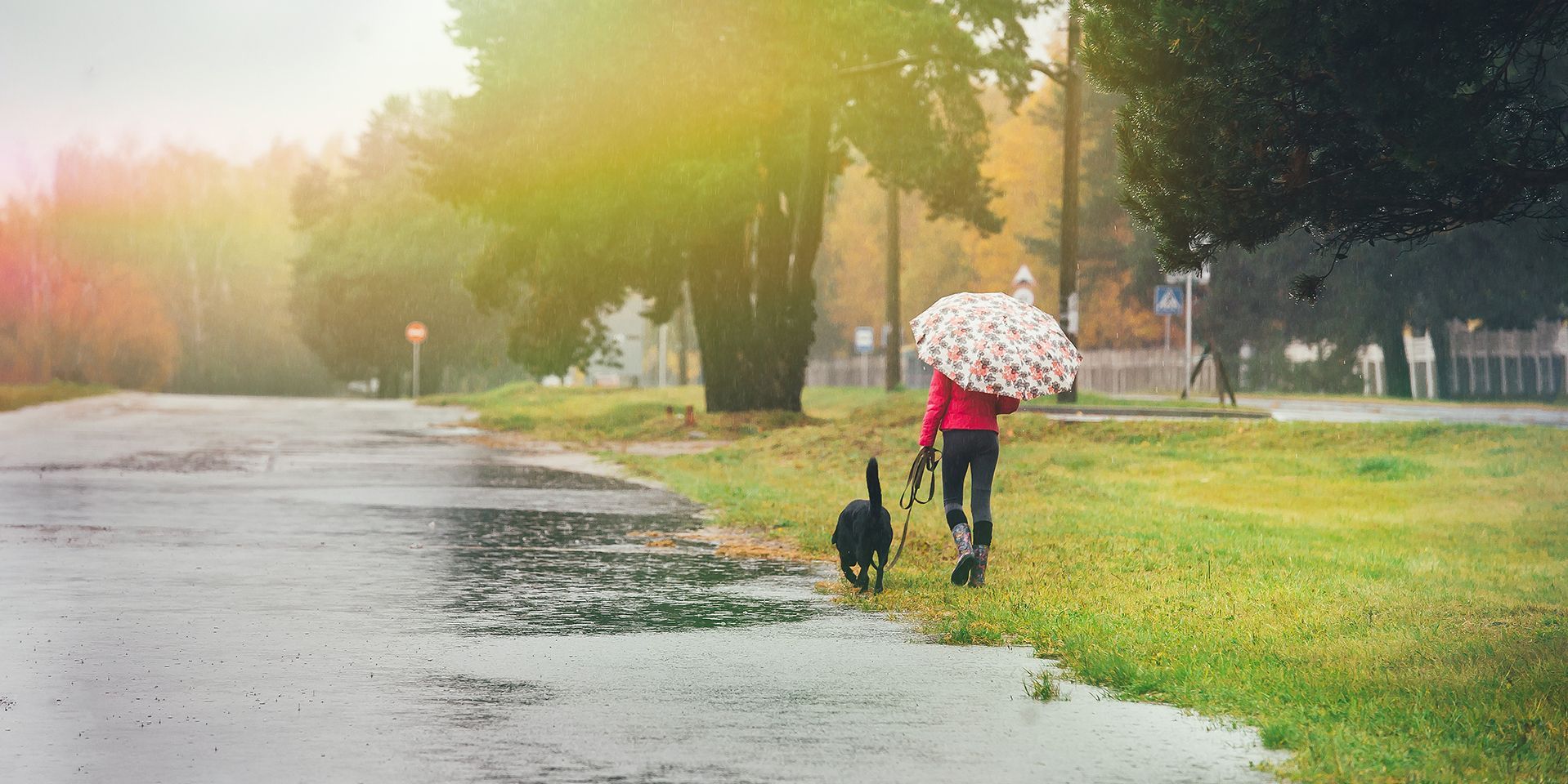 lady-walking-dog-in-the-rain