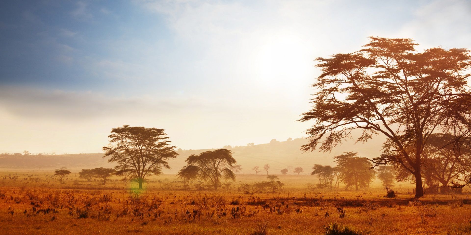 landscape-in-namibia