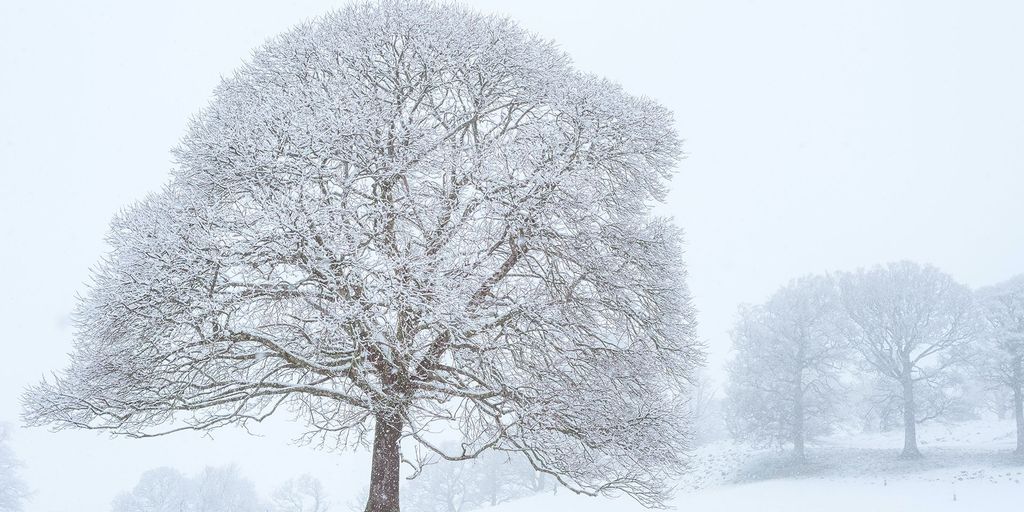 www.metoffice.gov.uk
