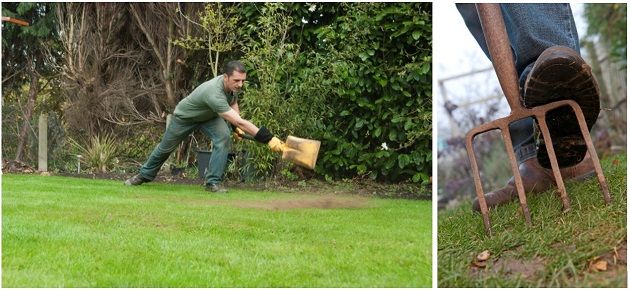 lawn-care