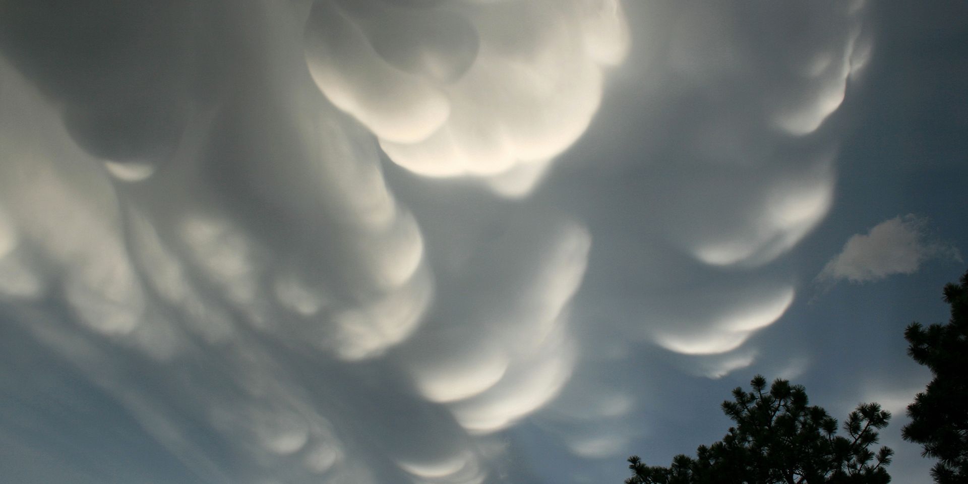 Mammatus clouds