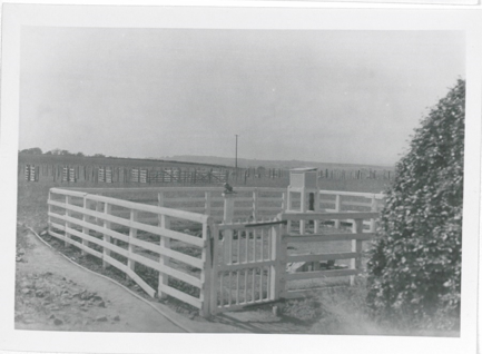 morpeth-station