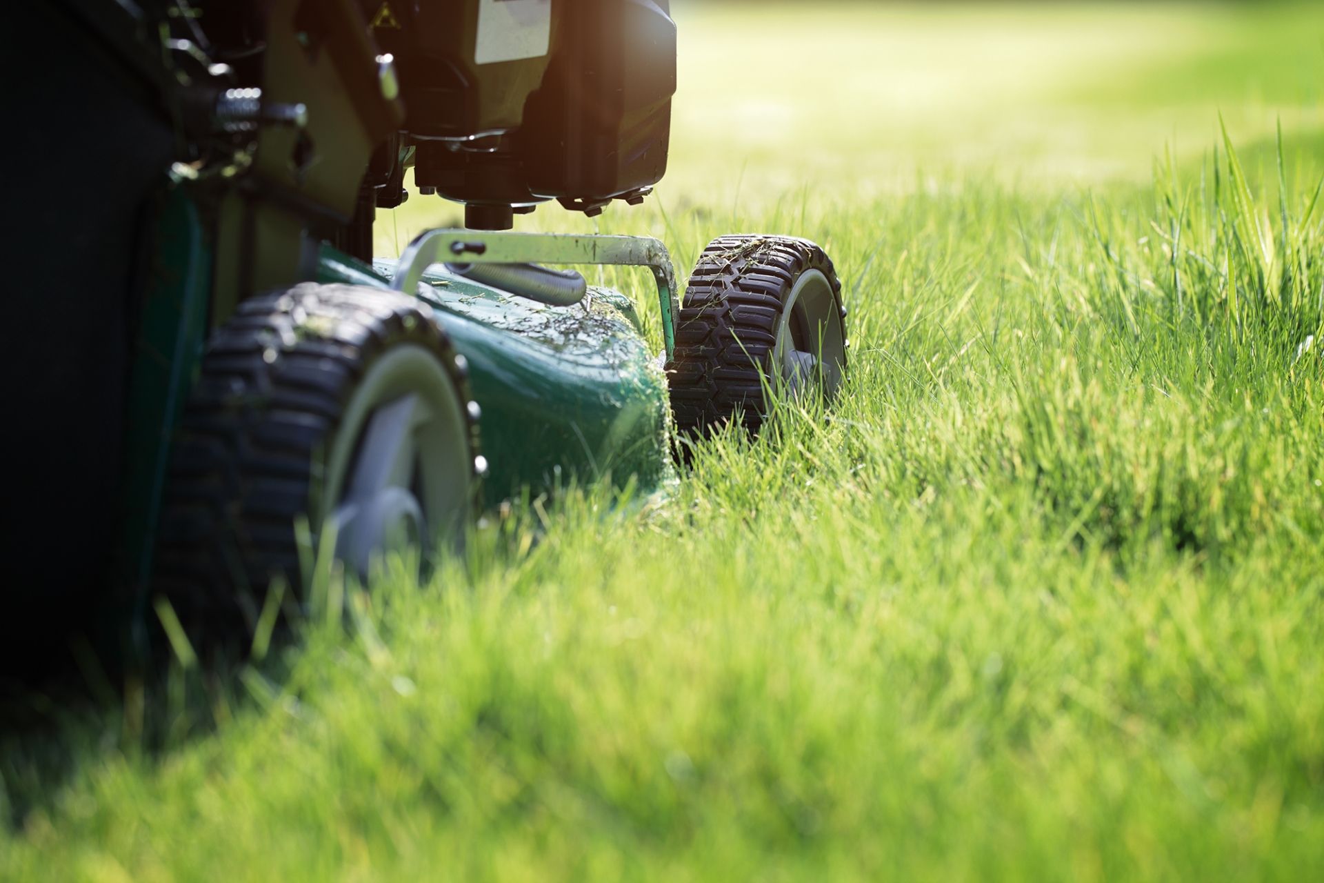 mow-the-lawn