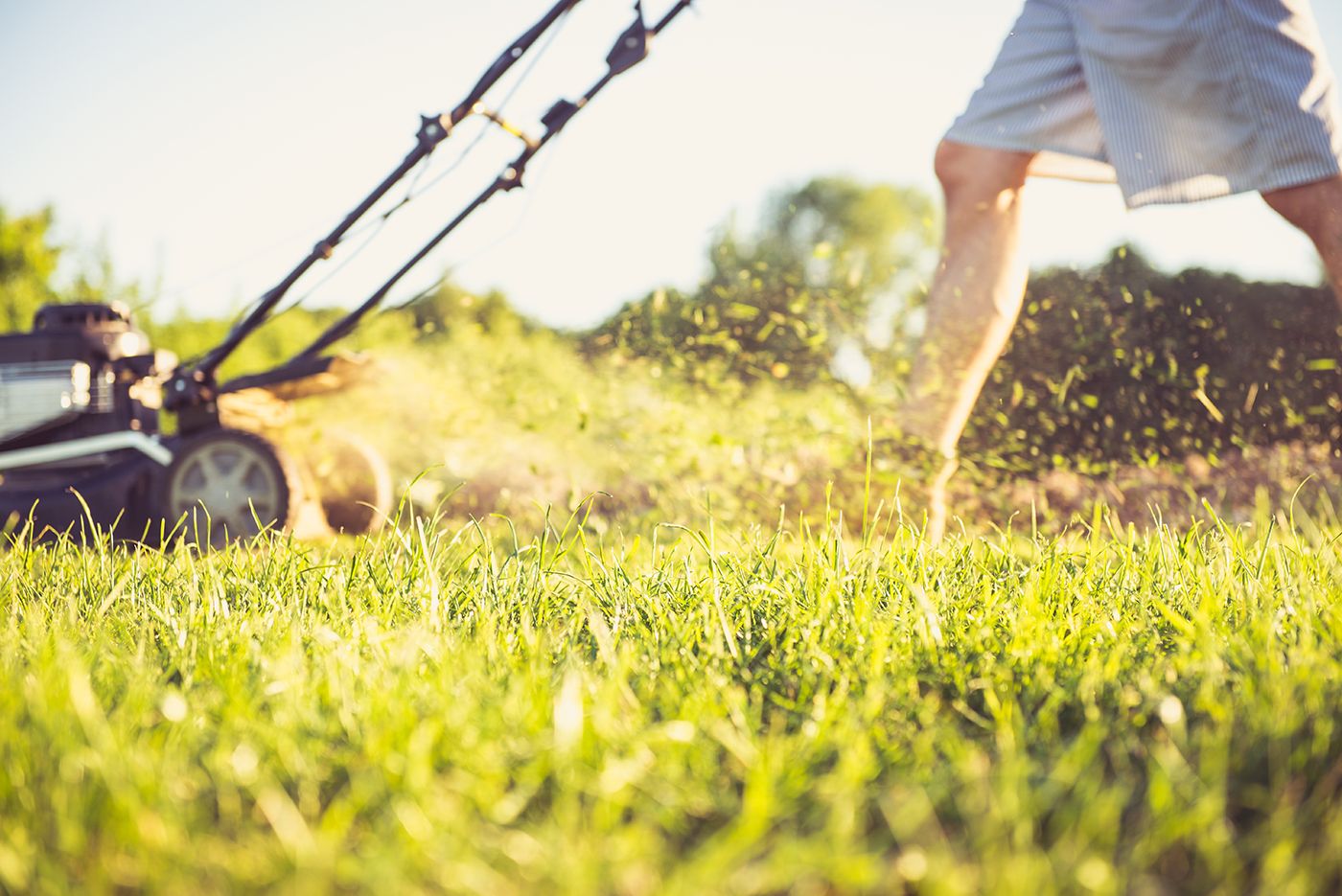 mowing-the-lawn