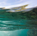 oceanstockcanva