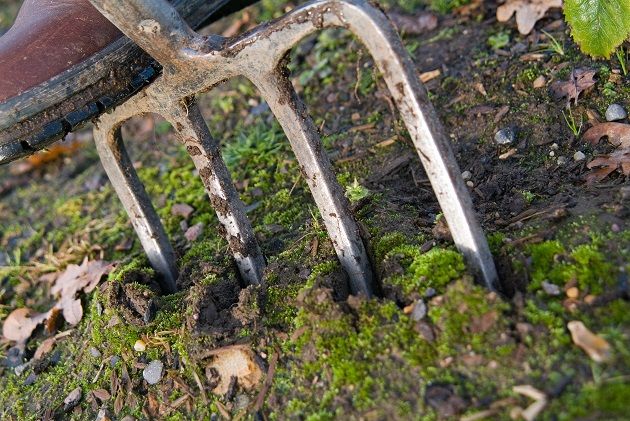 opening-up-compacted-soil-pic-rhs-tim-sandall-630px