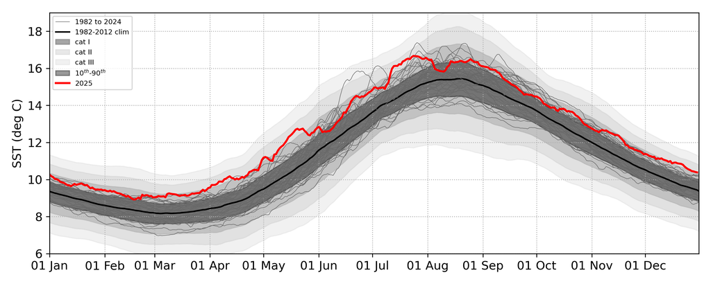 2025 is double-record breaker: UK’s warmest and sunniest year on record ...
