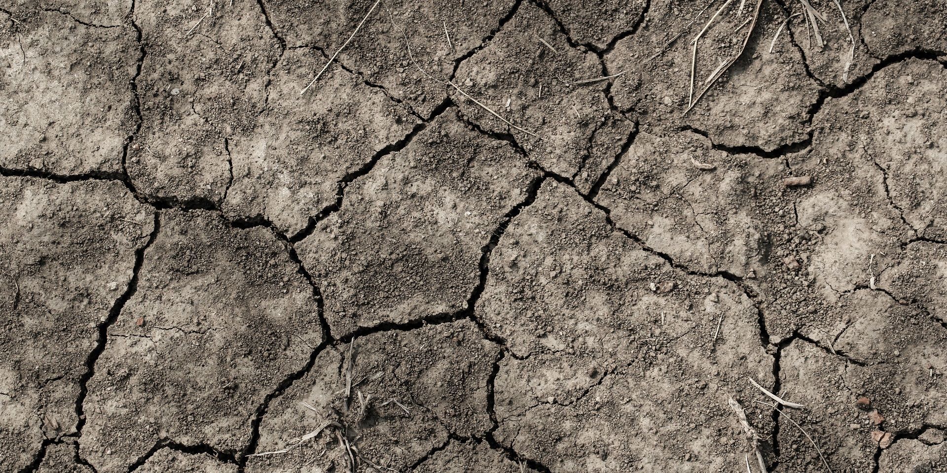 Parched earth during a drought