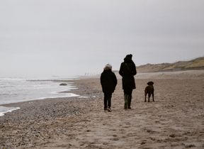 people-walking-on-a-beach-with-a-dog