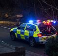 police-fallen-tree