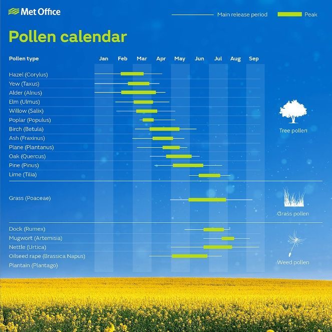 pollen-calendar