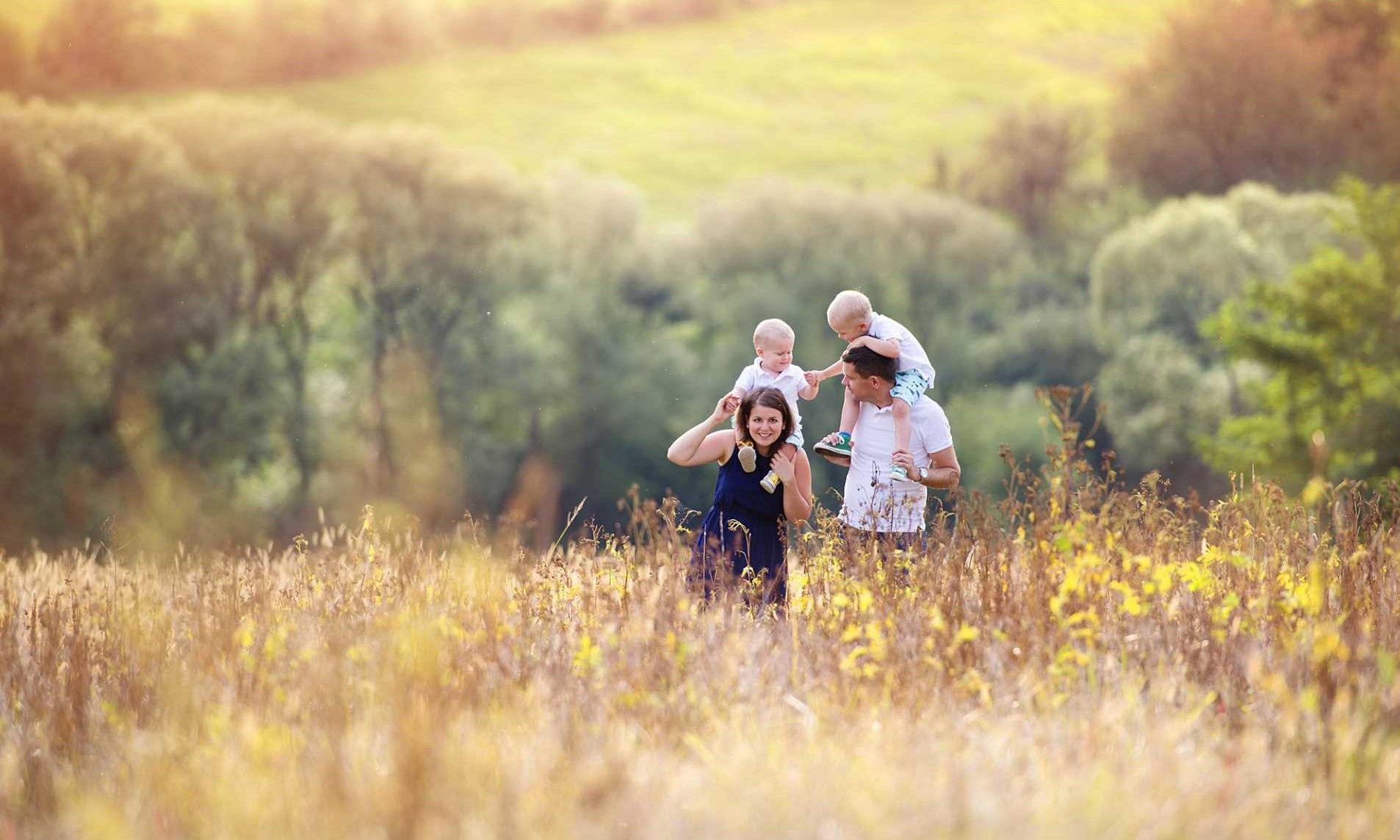 A meadow in the summer