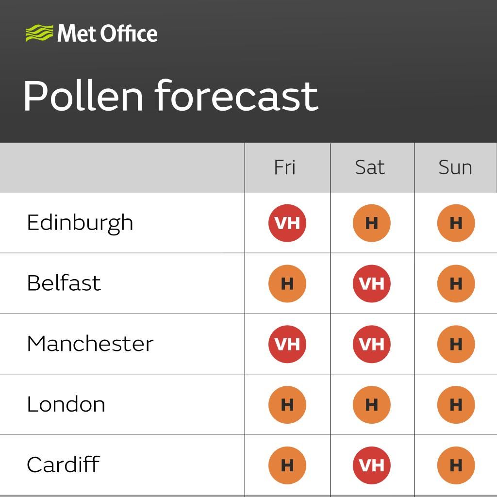 pollen_230426