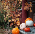 Pumpkins outside a house in autumn