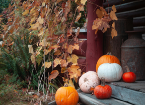 Pumpkins outside a house in autumn