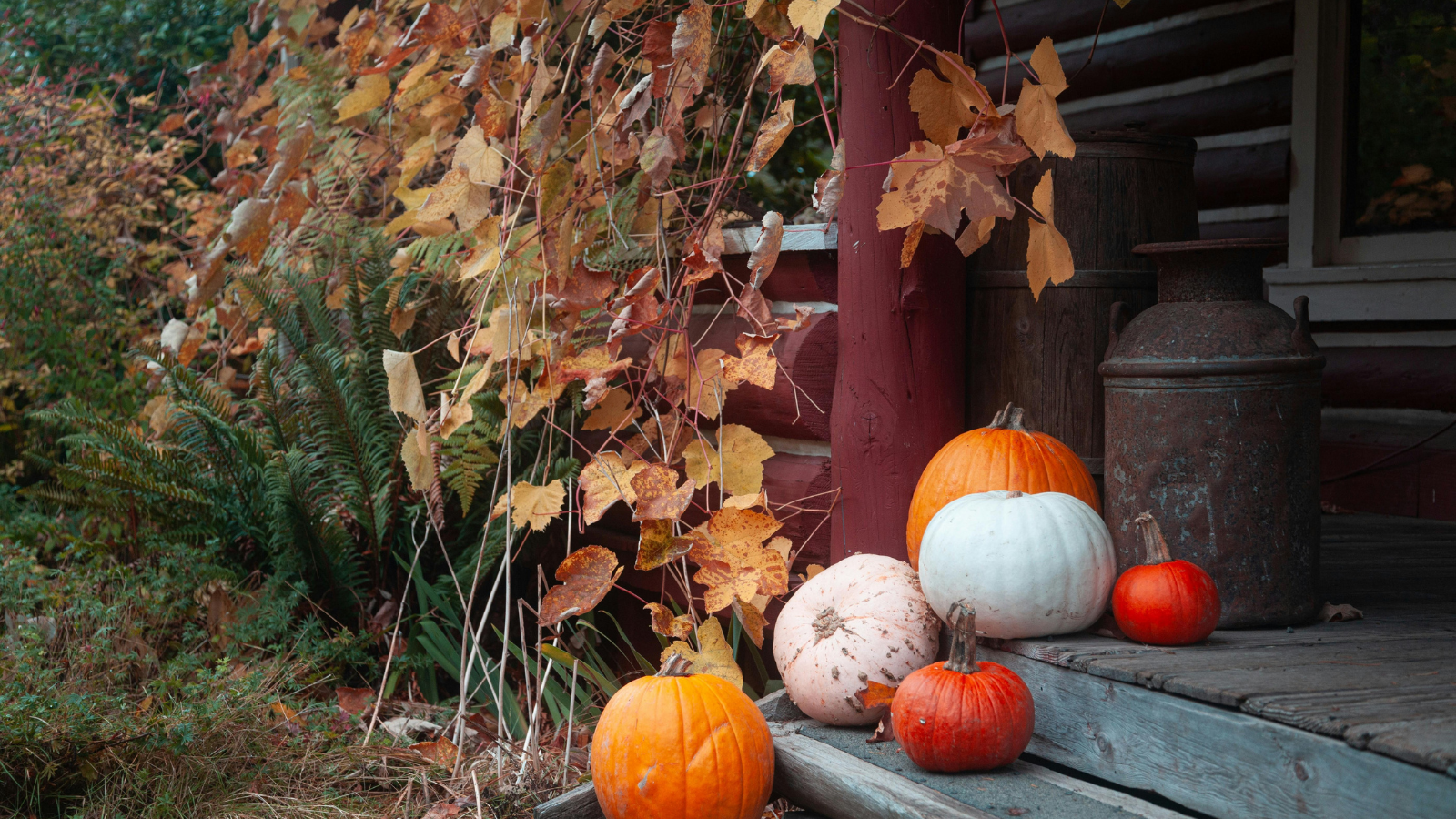 Pumpkins outside a house in autumn