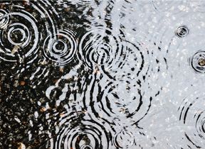rain-falling-into-a-puddle-causing-ripples