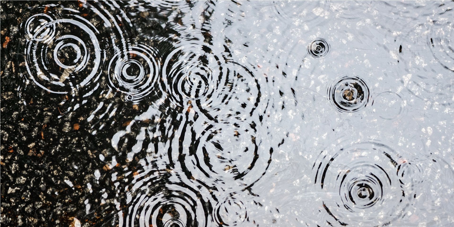 rain-falling-into-a-puddle-causing-ripples
