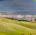 rainbow-over-the-yellowstone-landscape-in-wyoming