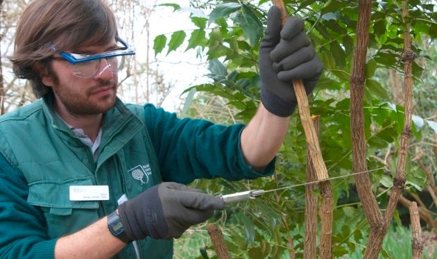 rhs-pruning_pub0026427