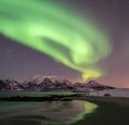 richard_ellis_arps_richard-ellis-lofoten-00001