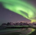 richard_ellis_arps_richard-ellis-lofoten-00002