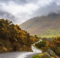 road-in-a-foggy-valley