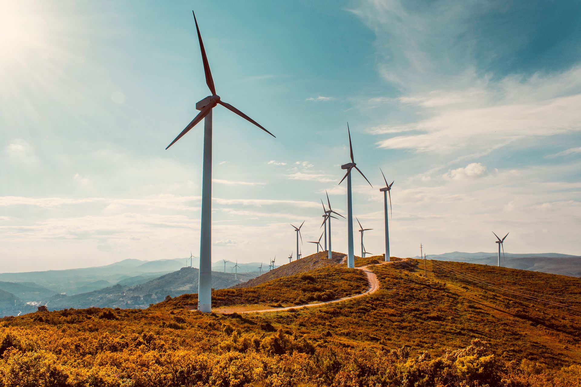 shutterstock_1189160377_wind