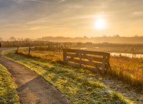 shutterstock_758199286-1