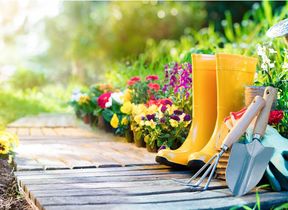 spring-summer-gardening-sunny