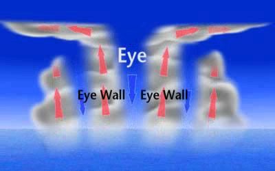 structure_image