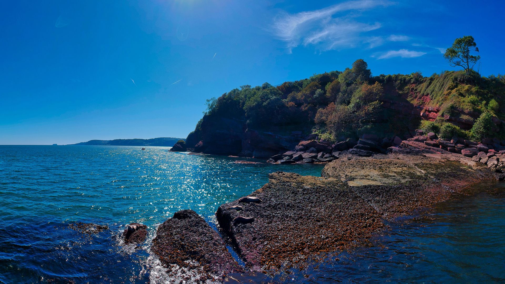 summer-blue-sky-torquay-coast