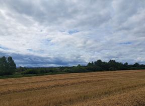 summer-clouds
