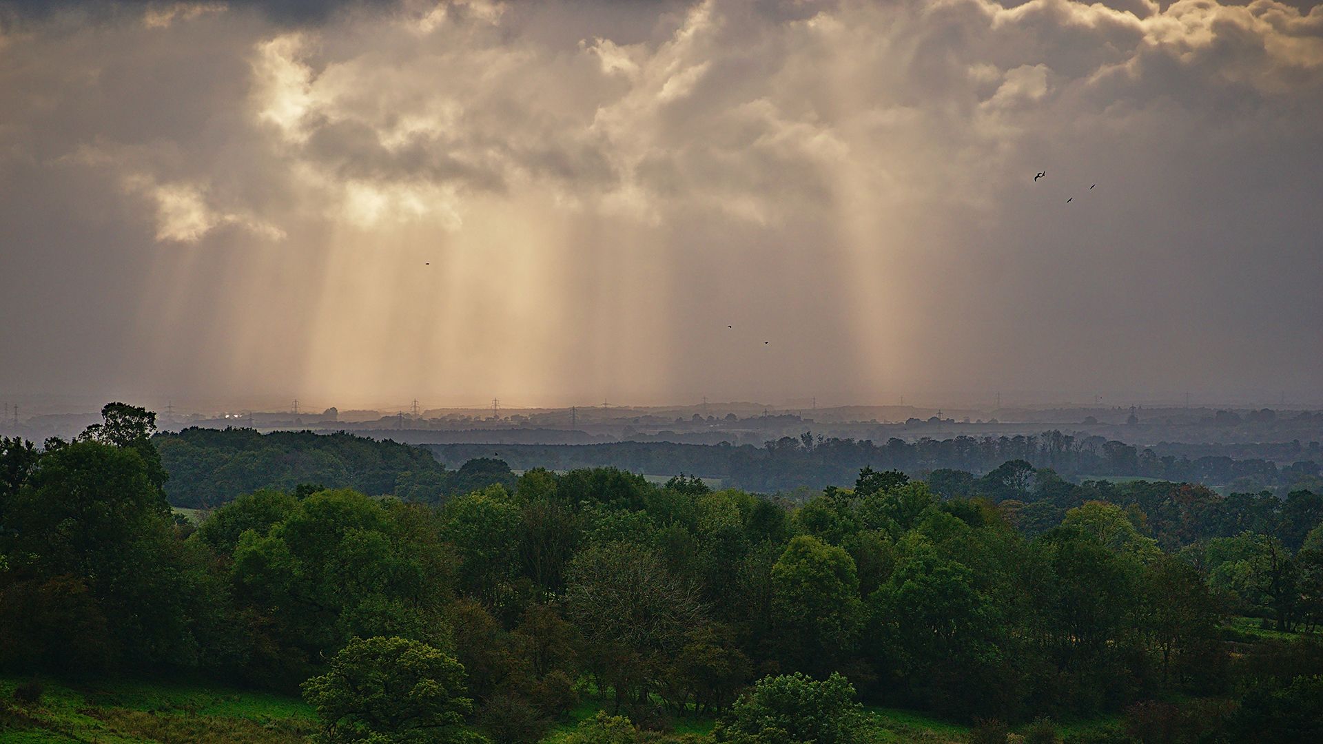 summer-mostly-cloudy-crepuscular-rays-fridaythorpe-yorkshire