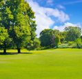 summer-park