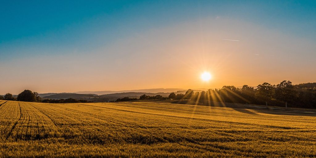 Extreme Heat Warning extended as temperatures forecast to reach 38°C