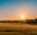 sun-setting-over-a-golden-field