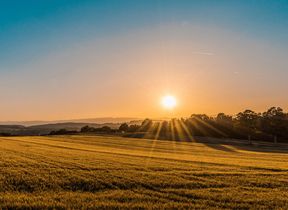 sun-setting-over-a-golden-field