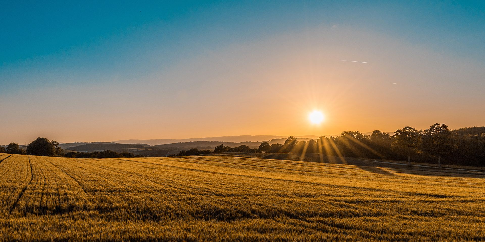 Sunset over a field