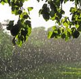sunshine-and-showers-small