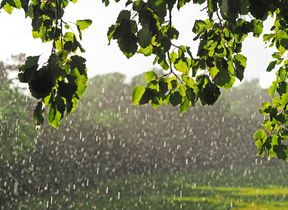 sunshine-and-showers-small
