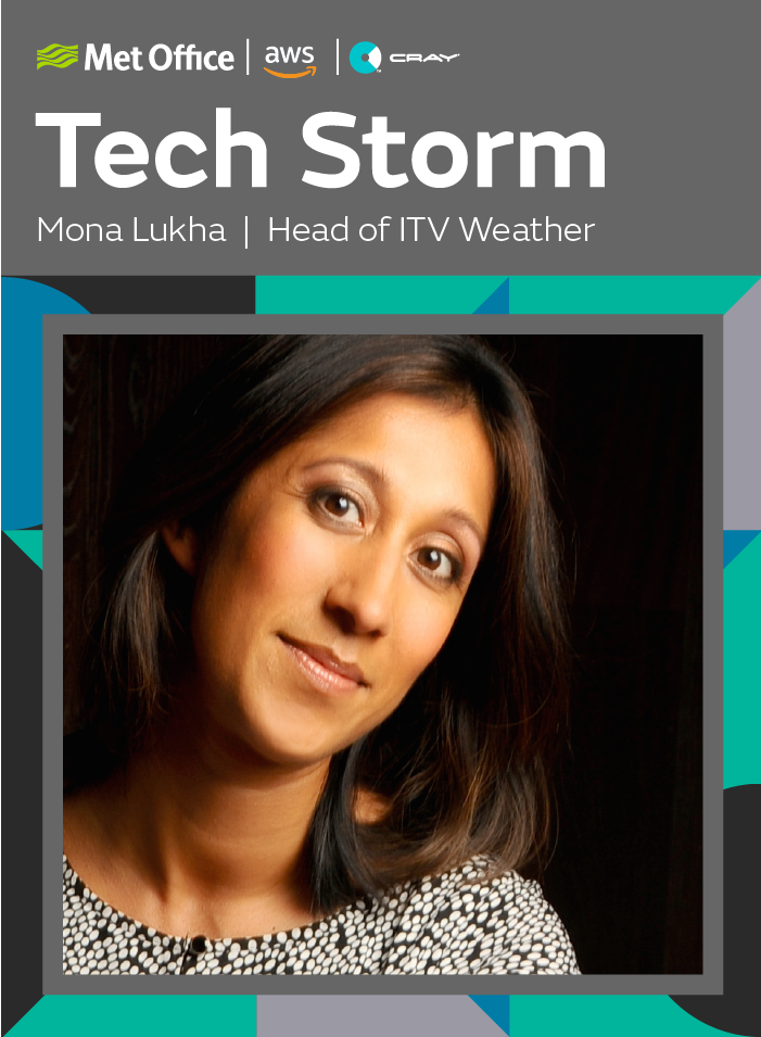 techstorm_ident_2-mona