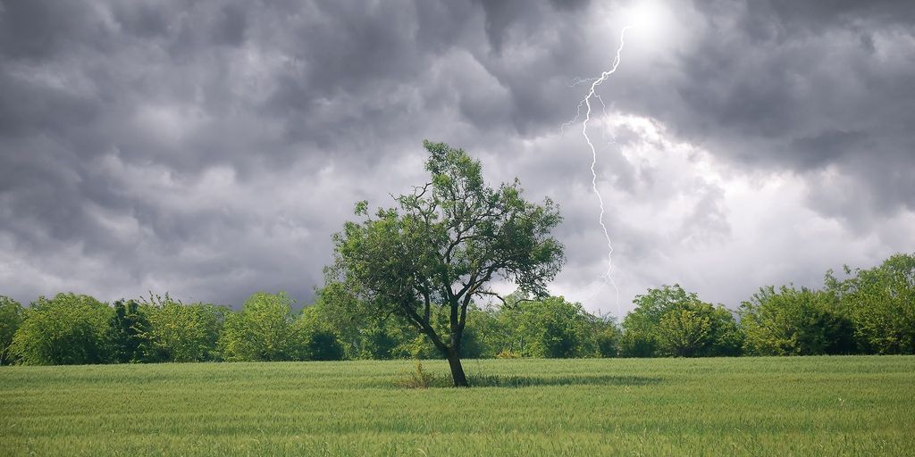 What does the latest long-range forecast tell us and what role could El ...