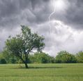tree-in-a-field-and-stormy-skies-with-lightning-strike