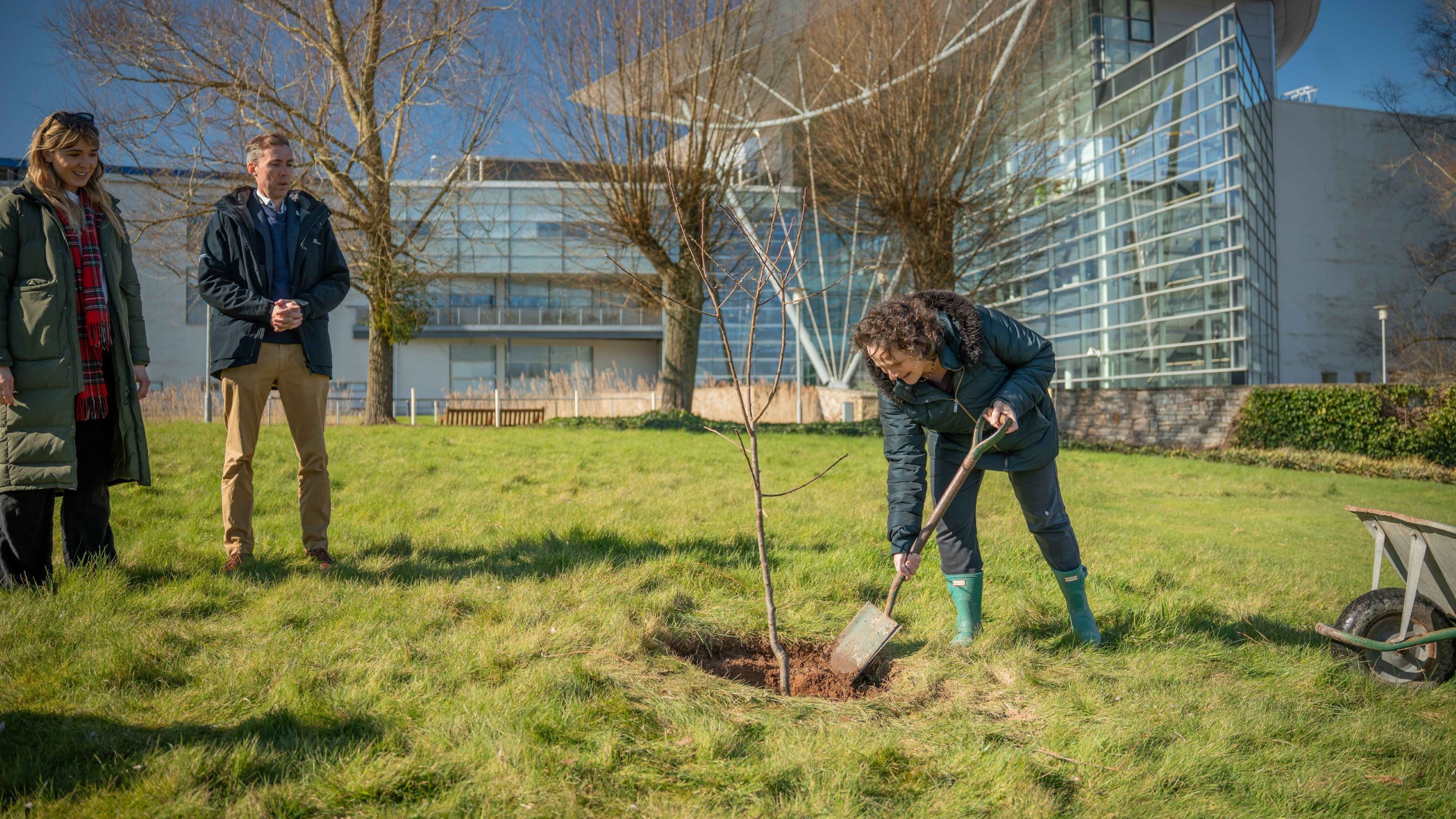 tree_planting_2025_-3